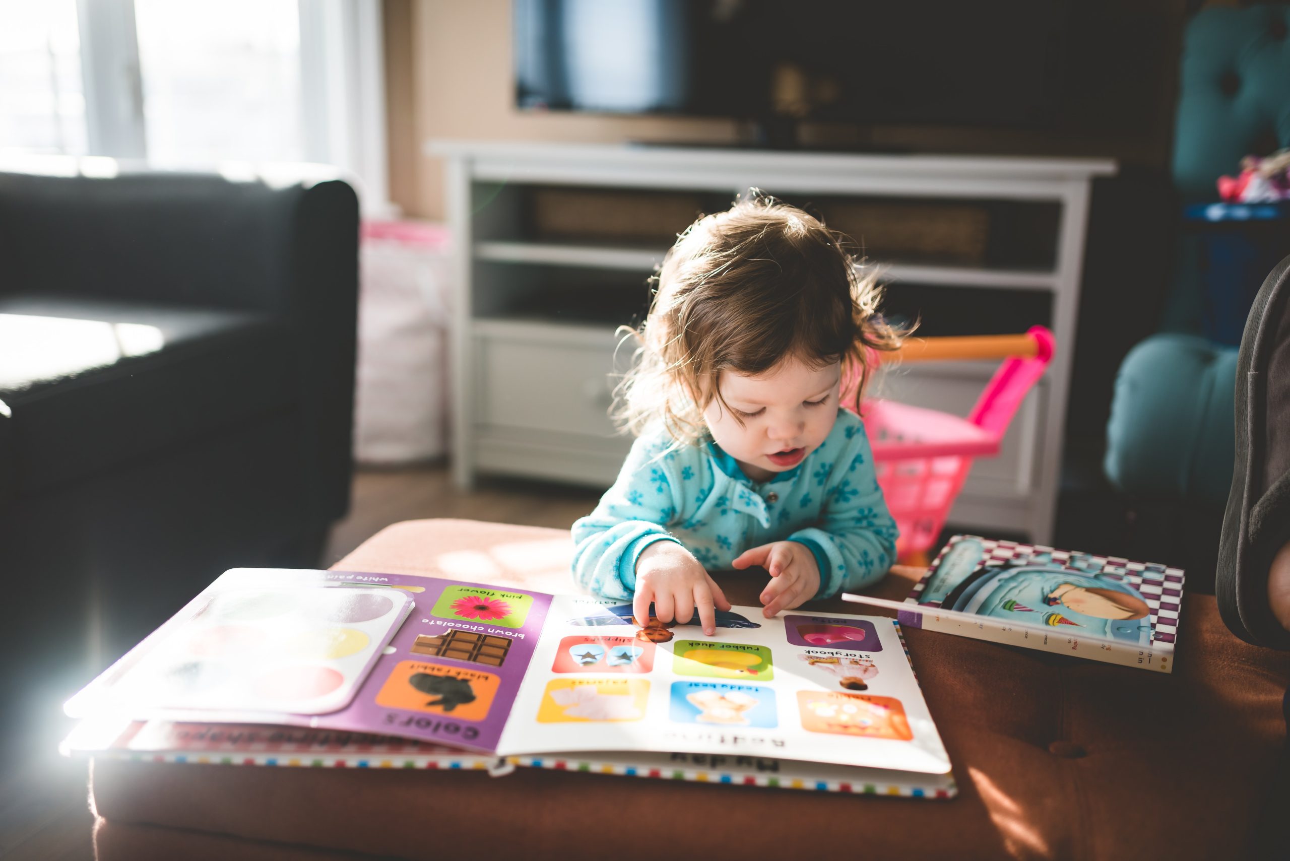 Small child reading a big pictorial book