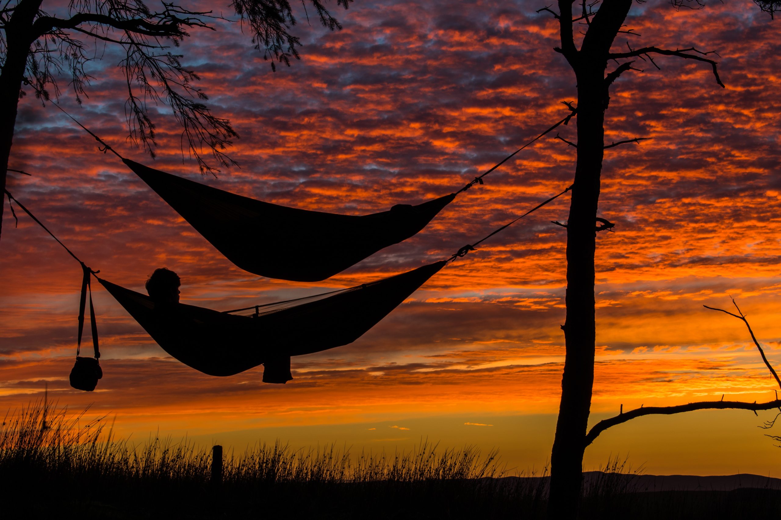 Silhouette of two hammocks 